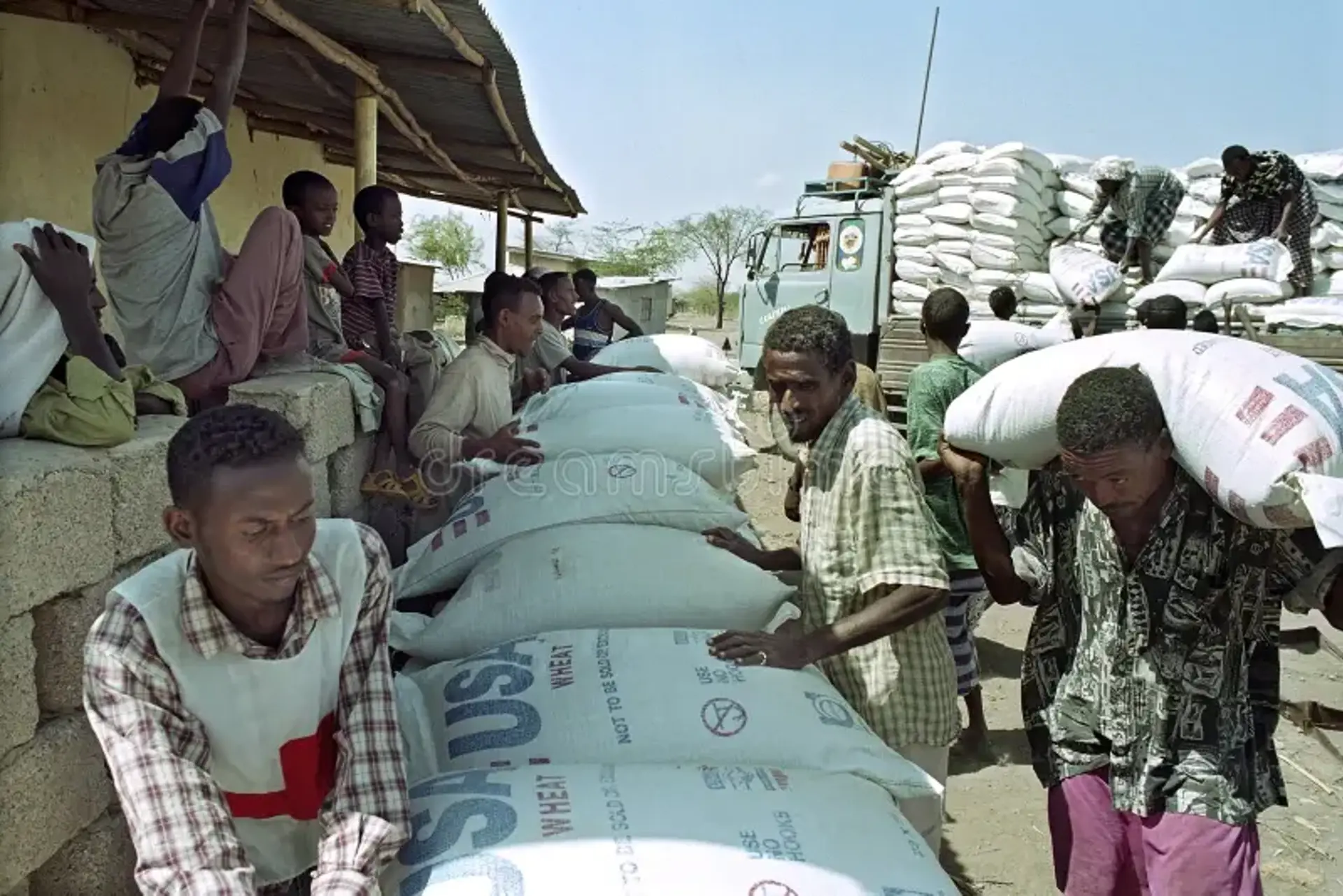 Supply Food Aid Afar Red Cross Ethiopia Region Ethnic Group Semi Nomadic Livestock Farmers There Threat 98435994 Supply Food Aid Afar Red Cross Ethiopia Region Ethnic Group Semi Nomadic Livestock Farmers There Threat 98435994